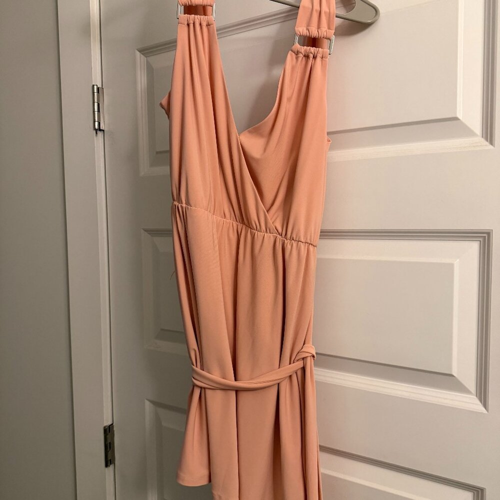 BCBG Pink Dress